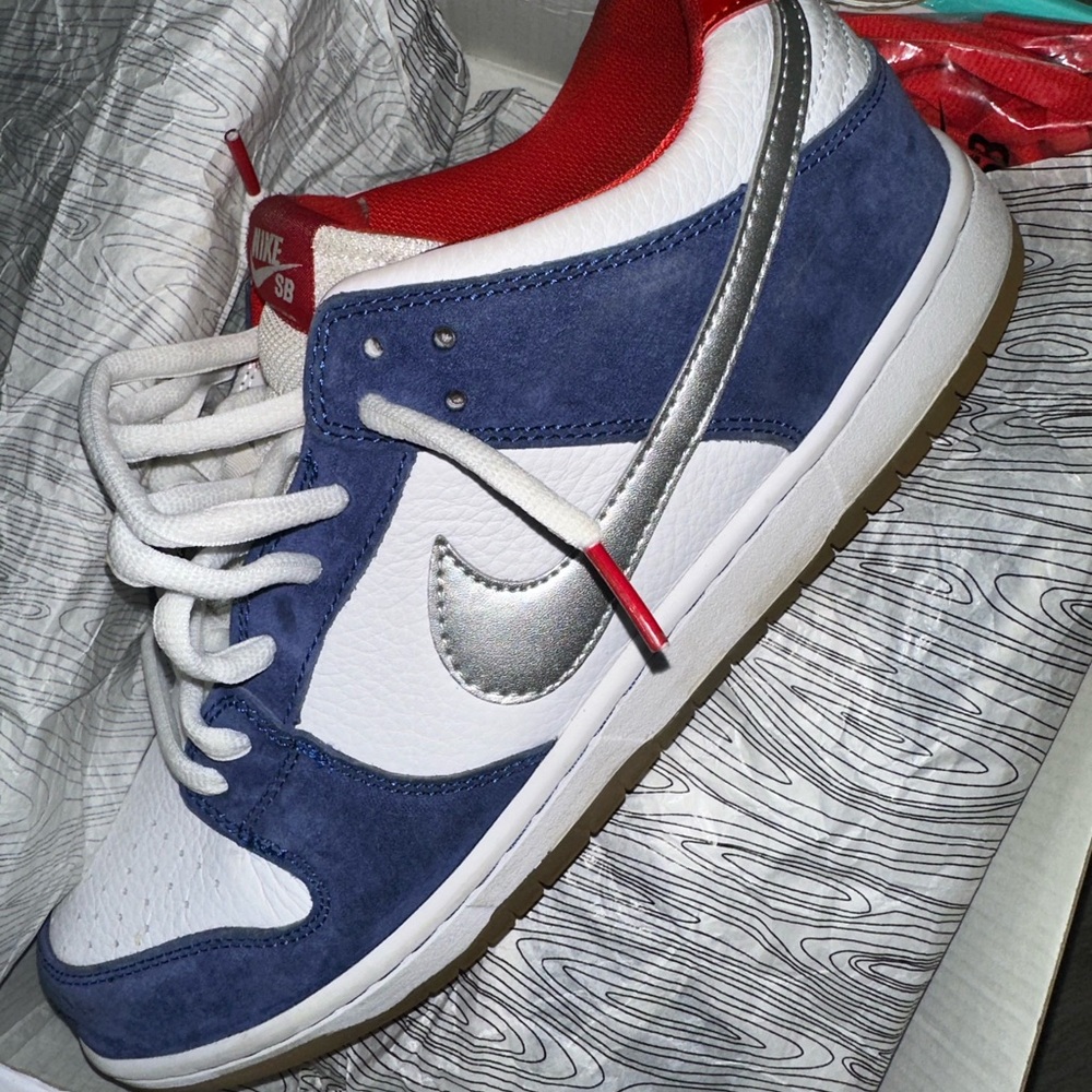 Nike Dunk Low Pro SB IW QS Wair Size 12